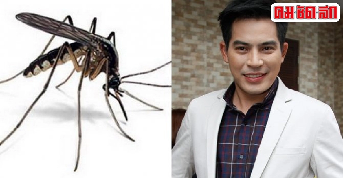 รู้เท่าทัน!?!ไข้เลือดออกเดงกี(Dengue) รู้เท่าทัน!?!ไข้เลือดออกเดงกี(Dengue)