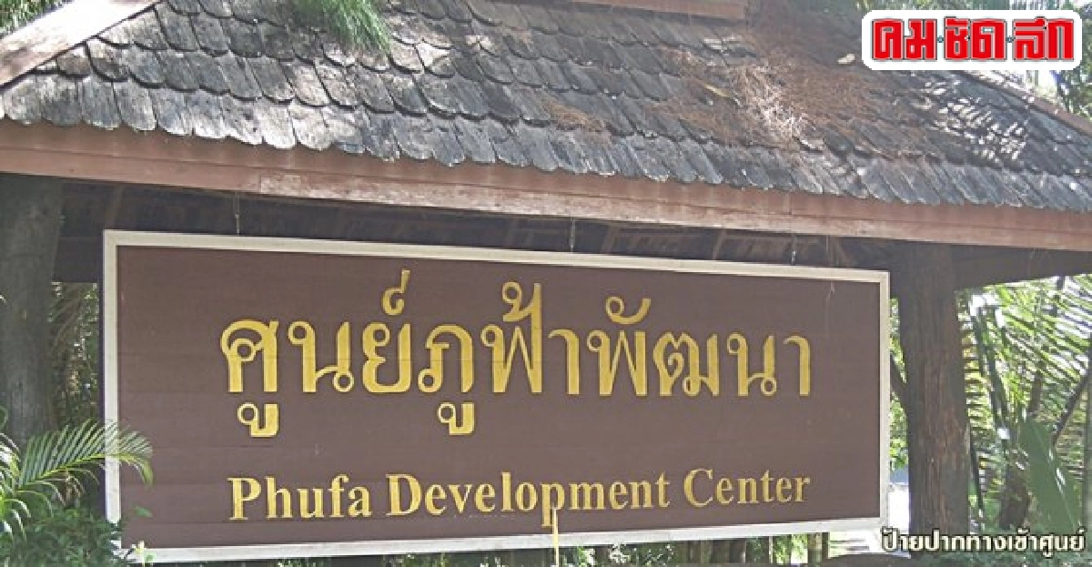 ตามสภาวิจัยตะลุย 'เมืองน่าน' ติวเข้มชาวบ้านปราบศัตรูชาเมี่ยง