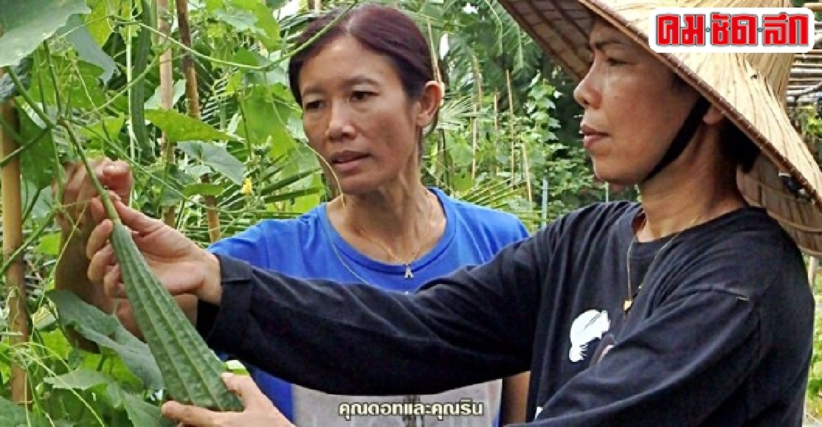 'เกษตรอินทรีย์' จุดเปลี่ยนชีวิตสองสาว