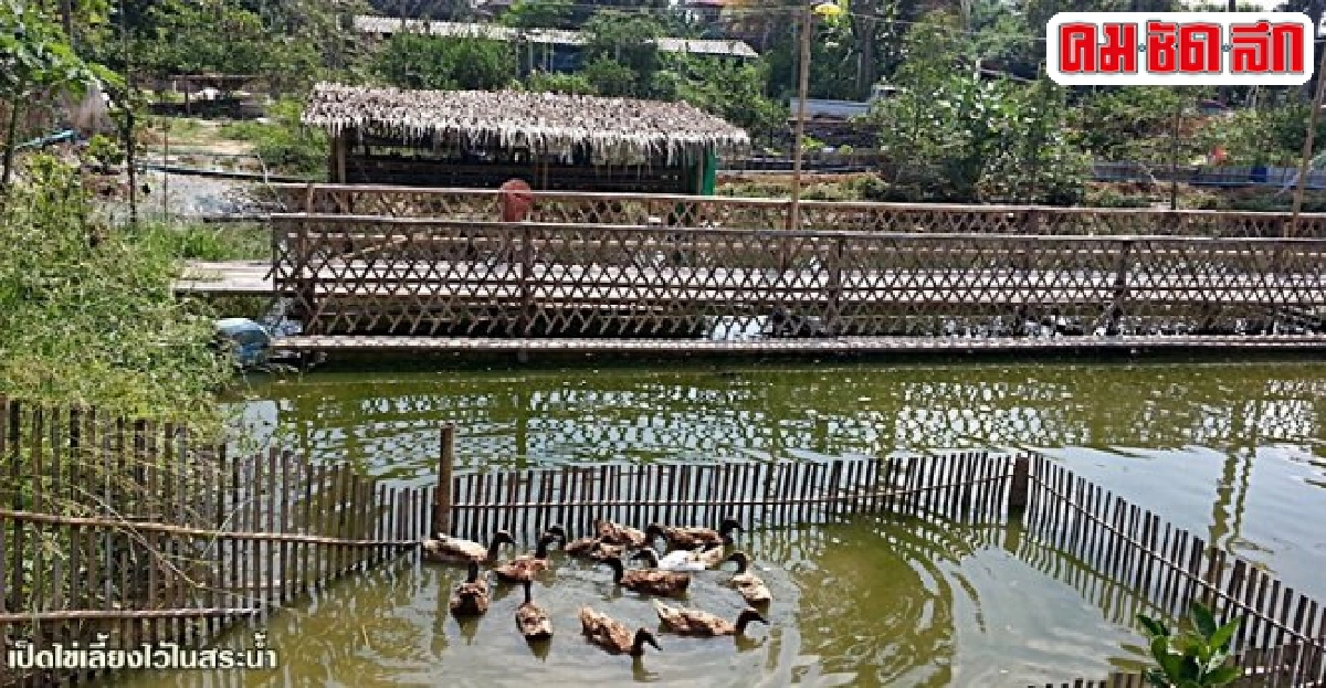 ตะลุยสำรวจ 'ฟาร์มสเตย์' วโรชา ยึดทฤษฎีใหม่ต่อยอดงานเกษตร