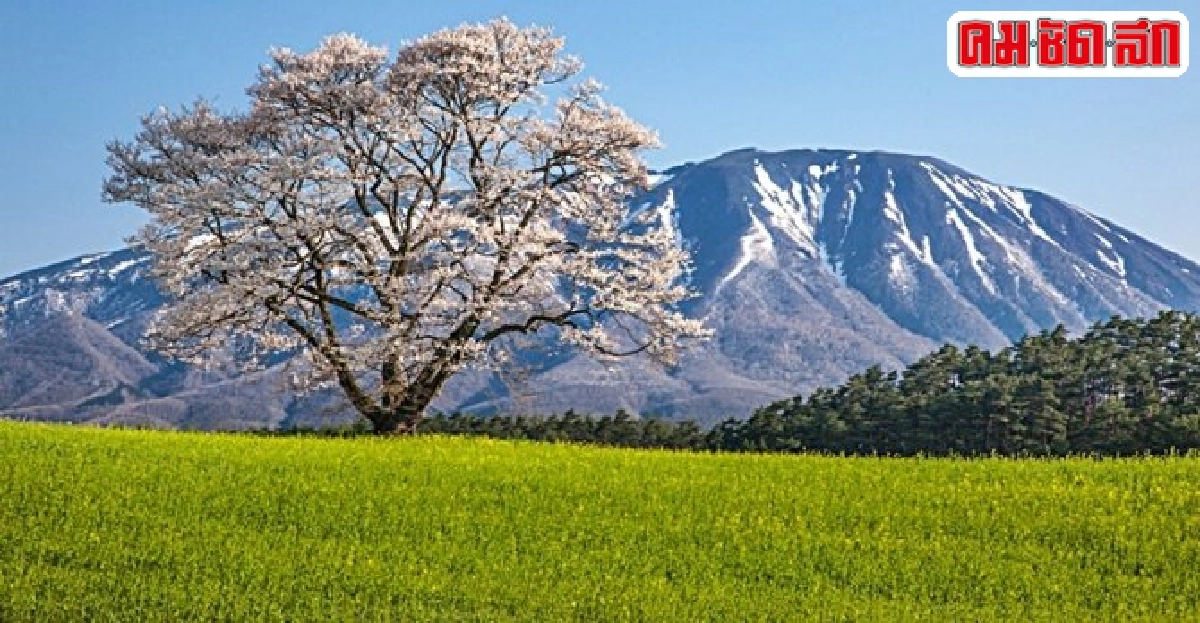 อากิตะ เมืองซามูไรออนเซน