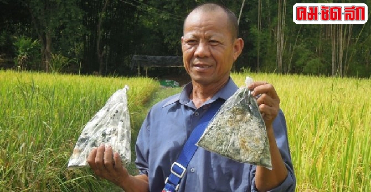 ลาชีวิตลูกจ้างสู่นาอินทรีย์ วิถีสมเดช มหาวงศ์นันท์ ลาชีวิตลูกจ้างสู่นาอินทรีย์ วิถีสมเดช มหาวงศ์นันท์