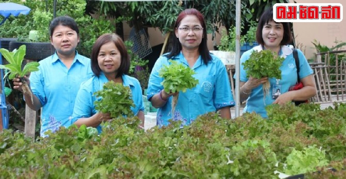 สุวรรณภูมิ3รวมพลังปลูกผักไฮโดรฯ สุวรรณภูมิ3รวมพลังปลูกผักไฮโดรฯ