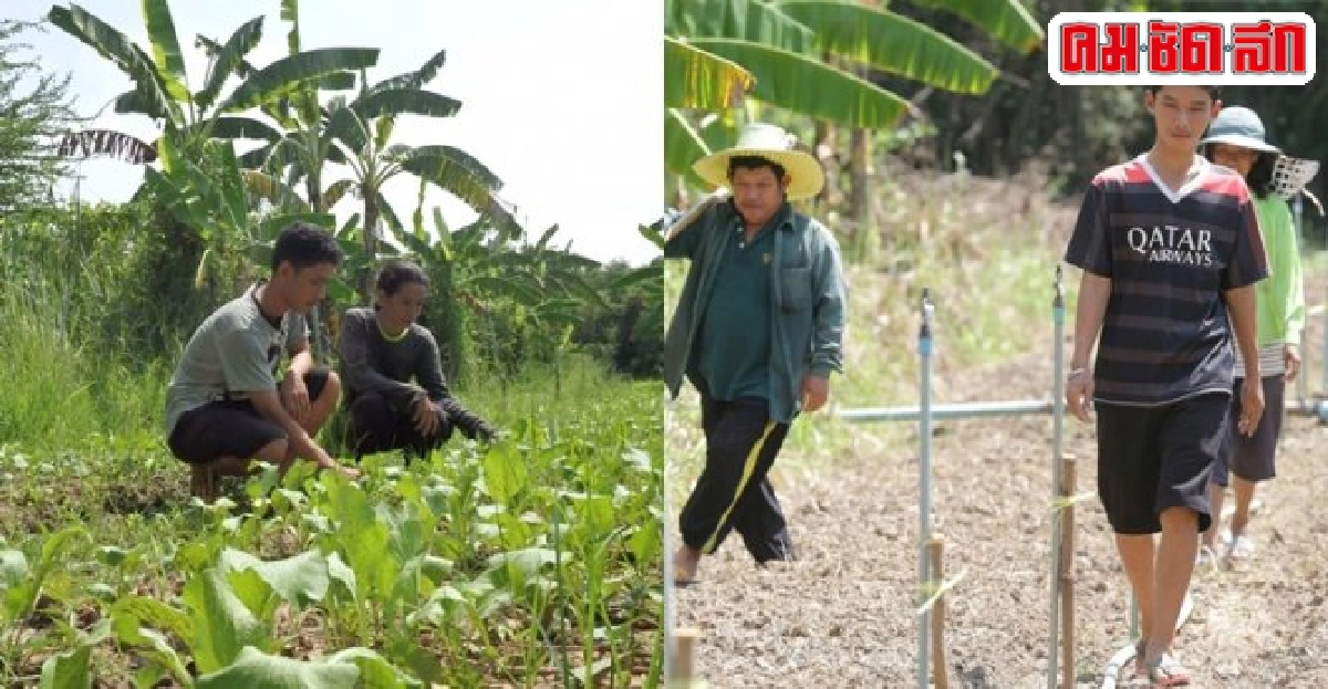 เจนวิทย์ สระทองหนต้นกล้าอินทรีย์รุ่นใหม่หัวใจเกร่ง