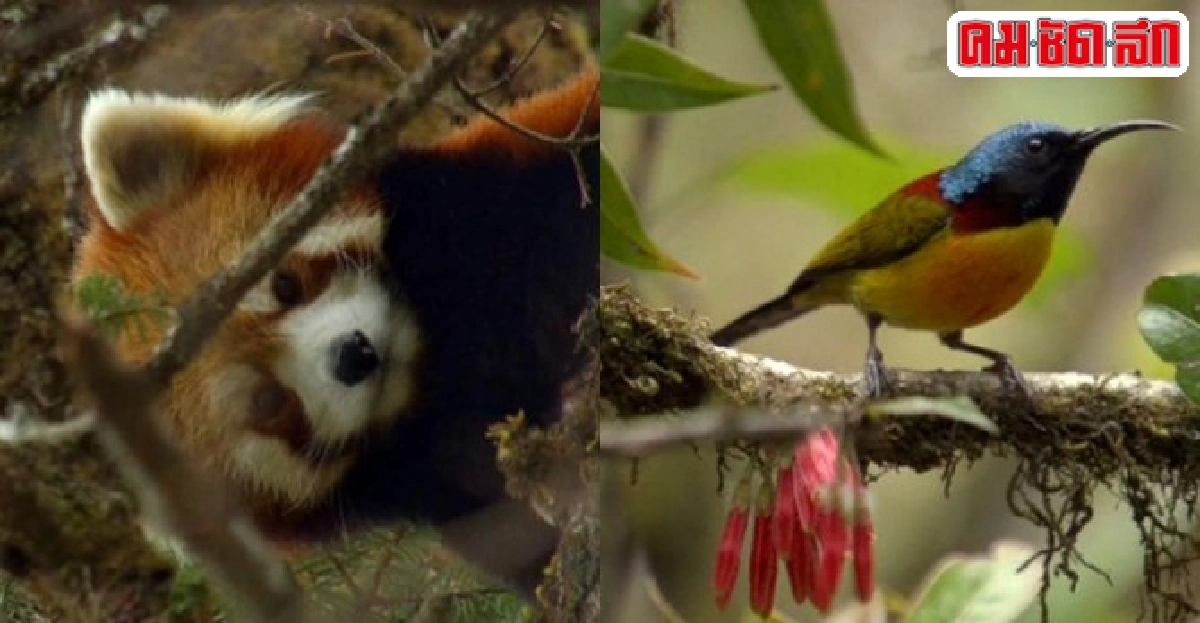แชงกรีล่า...ดินแดนในฝันใน Wild China แชงกรีล่า...ดินแดนในฝันใน Wild China