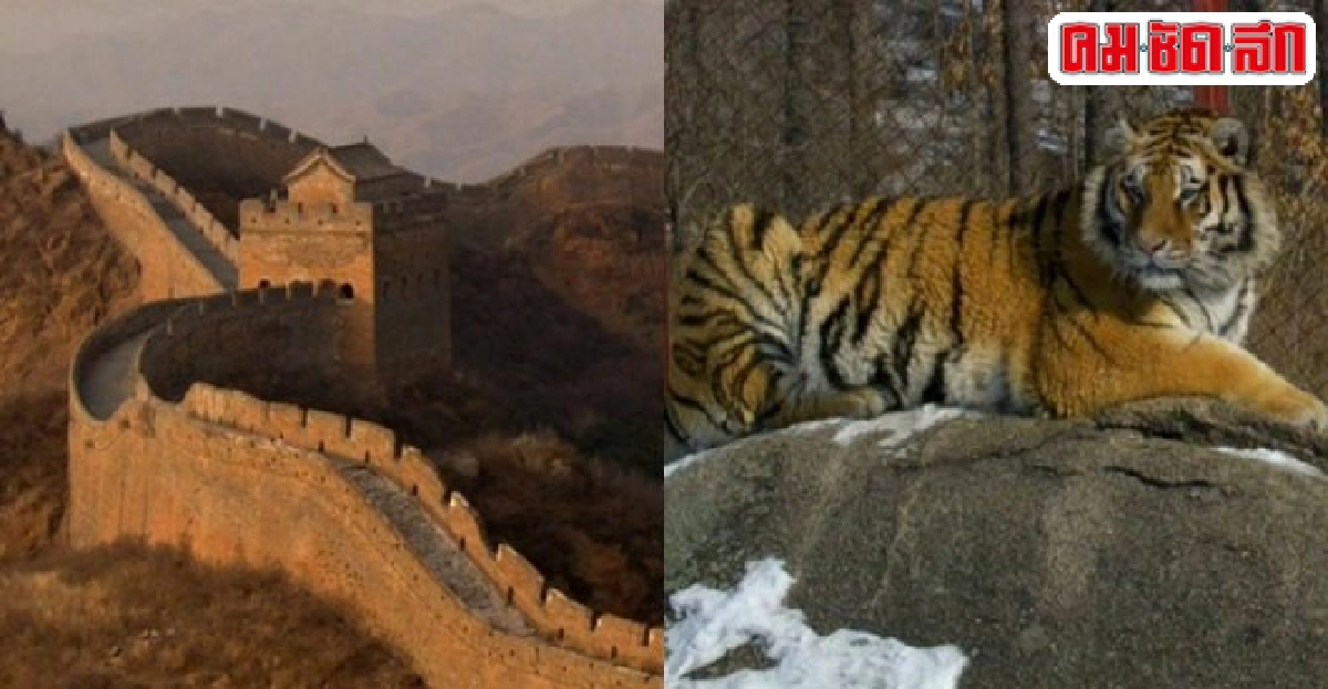 นอกกำแพงเมืองจีนใน Wild China นอกกำแพงเมืองจีนใน Wild China