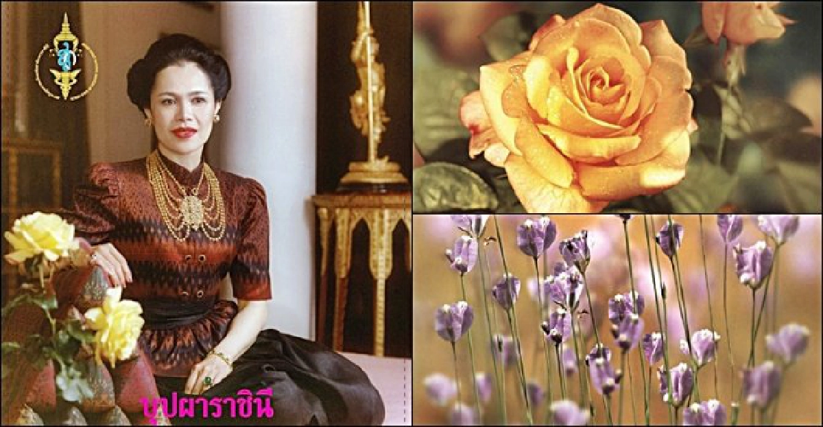 ร้อยเรียง 12 บุปผชาติ สืบสานพระปณิธานราชินี ร้อยเรียง 12 บุปผชาติ สืบสานพระปณิธานราชินี