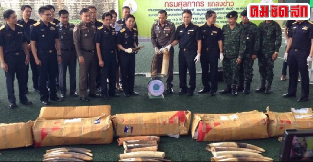 จับขบวนการขนงาช้างมูลค่ากว่า40ล. จับขบวนการขนงาช้างมูลค่ากว่า40ล.