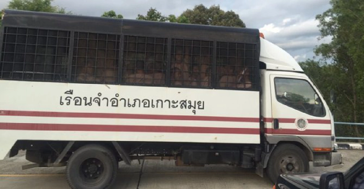 แม่จำเลยคดีฆ่านทท.เกาะเต่าเป็นลมเมื่อศาลสั่งประหารชีวิต แม่จำเลยคดีฆ่านทท.เกาะเต่าเป็นลมเมื่อศาลสั่งประหารชีวิต