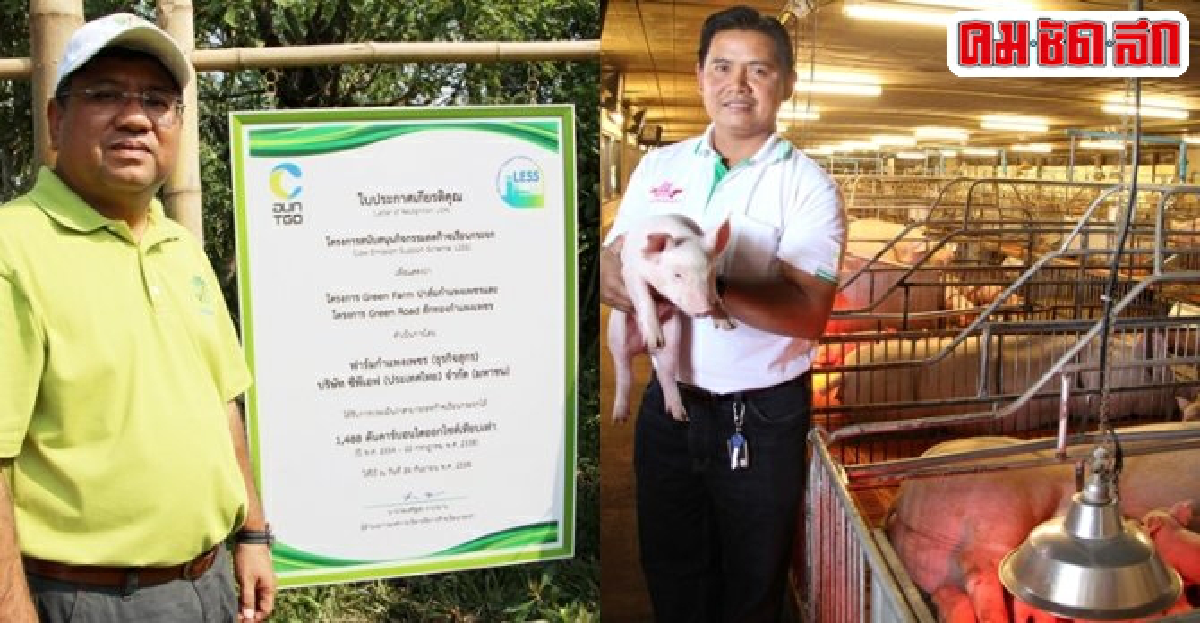 สัมผัสผืนป่าชุมชนในฟาร์มหมูแห่งแรกของโลกที่กำแพงเพชร 