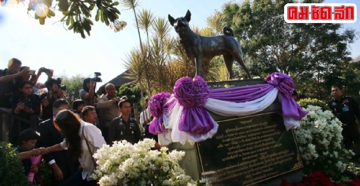 บรรจุกระดูกคุณทองแดงที่ศูนย์รักษ์สุนัขหัวหิน บรรจุกระดูกคุณทองแดงที่ศูนย์รักษ์สุนัขหัวหิน