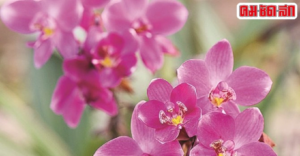 ปลดหนี้ปีใหม่ : ธรรมะยู-เทิร์น โดยอิทธิโชโต ปลดหนี้ปีใหม่ : ธรรมะยู-เทิร์น โดยอิทธิโชโต