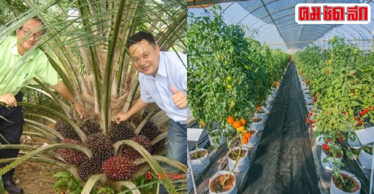 งานวิจัยภาคเกษตรไทยยุคเออีซีต้องขับเคลื่อนเพื่อความเป็นหนึ่ง งานวิจัยภาคเกษตรไทยยุคเออีซีต้องขับเคลื่อนเพื่อความเป็นหนึ่ง