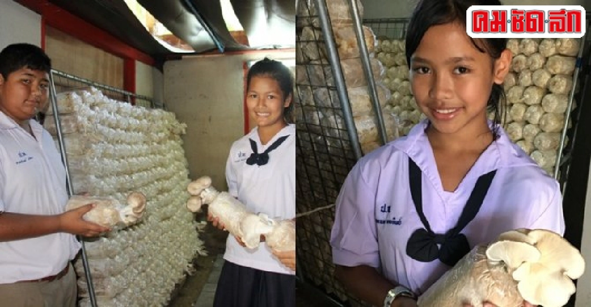 อิ่ม สุข ปลูกอนาคตหนุนเด็กไทยเรียนรู้พัฒนายั่งยืน