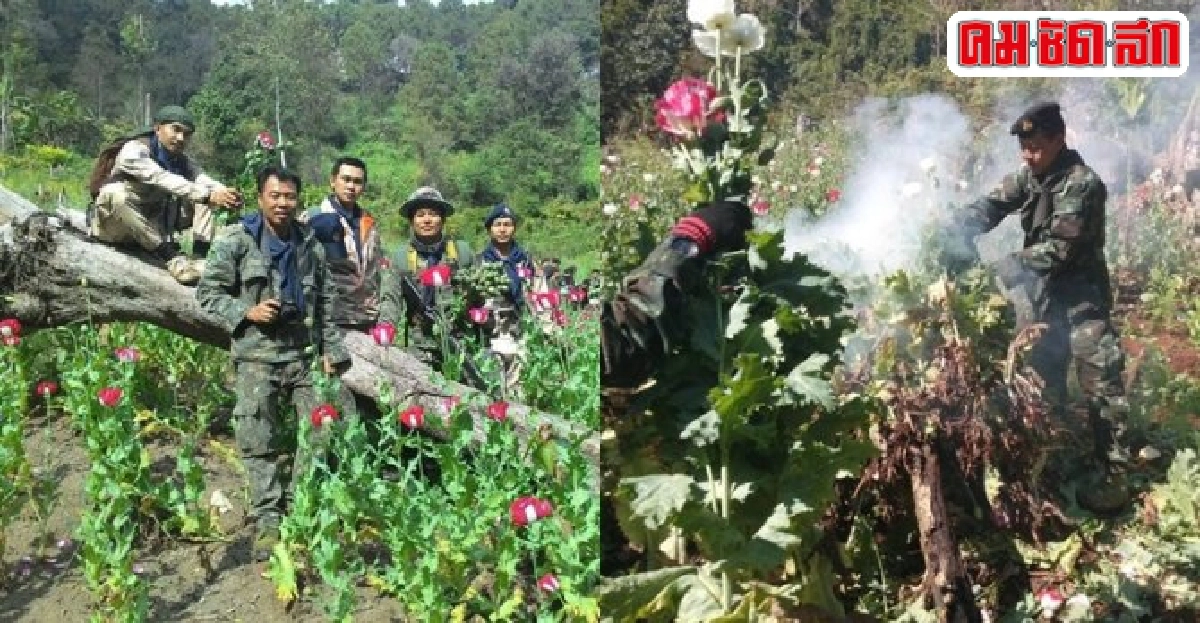 ตร.เชียงรายคุมเข้มปีใหม่สกัดค้ายาแฝงนักท่องเที่ยว ตร.เชียงรายคุมเข้มปีใหม่สกัดค้ายาแฝงนักท่องเที่ยว