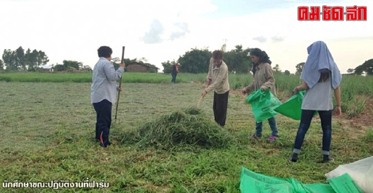 'กัลยาฟาร์ม'ศูนย์เรียนรู้ครบวงจร จากวิถีเกษตรสู่งานวิจัยเด่น