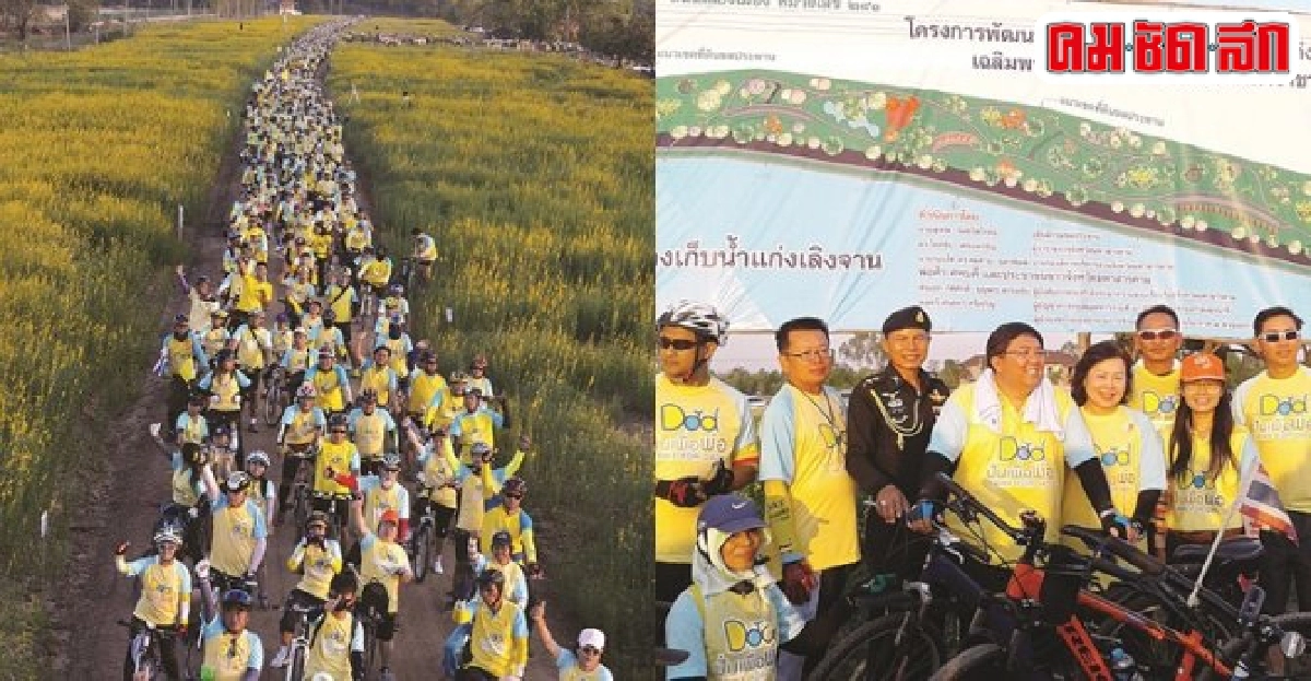 ทุ่งปอเทืองสร้างสามัคคีถวายความภักดีแด่ในหลวง ทุ่งปอเทืองสร้างสามัคคีถวายความภักดีแด่ในหลวง