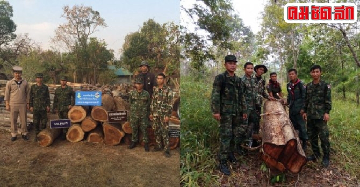 นรข.อุบลฯยึดไม้หวงห้ามในป่าอุทยานผาแต้ม นรข.อุบลฯยึดไม้หวงห้ามในป่าอุทยานผาแต้ม