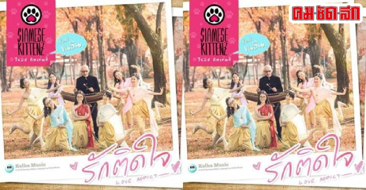 'รักติดใจ Siamese Kittenz'