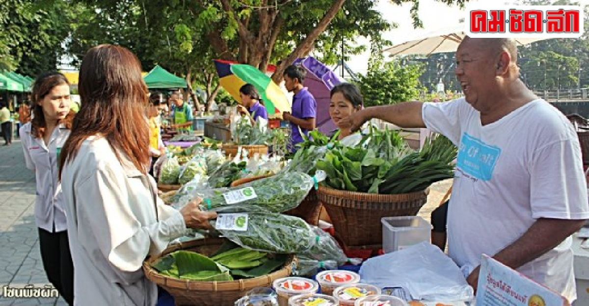 สัมผัสตลาดนัดสีเขียวหลังจวนผู้ว่าฯ สินค้าปลอดสารเมืองเพชร