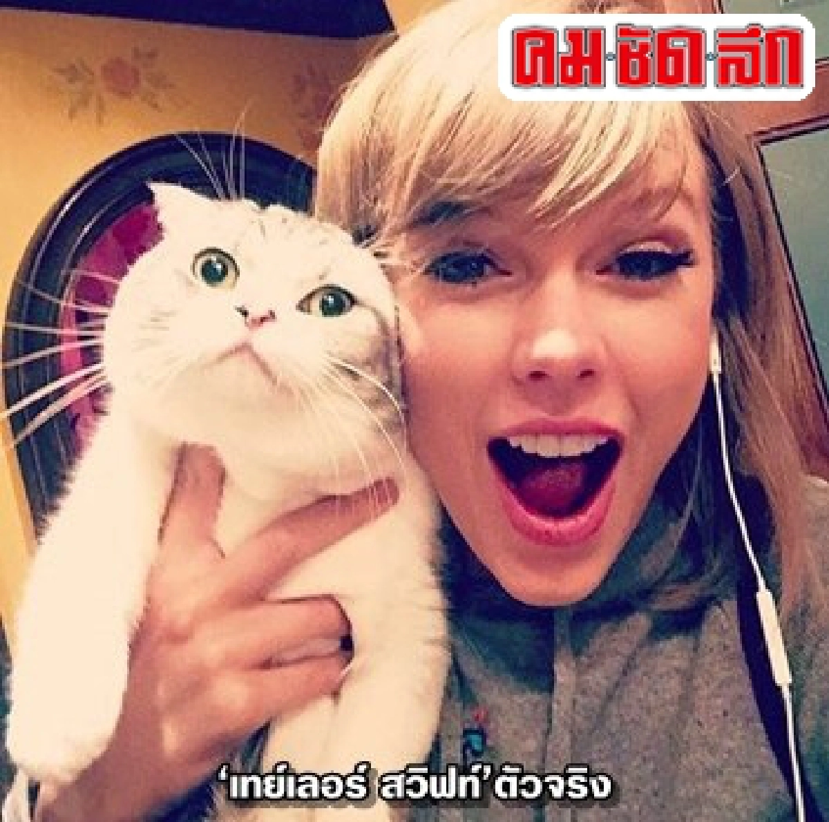 สาวหน้าเหมือนเทย์เลอร์ สวิฟท์ถูกเกรียนคีย์บอร์ดถล่มว่าอ้วน สาวหน้าเหมือนเทย์เลอร์ สวิฟท์ถูกเกรียนคีย์บอร์ดถล่มว่าอ้วน