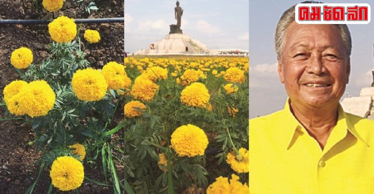 ปรับโฉมพุทธมณฑลอีสานสู่'ลานธรรม-ลานดอกไม้'  