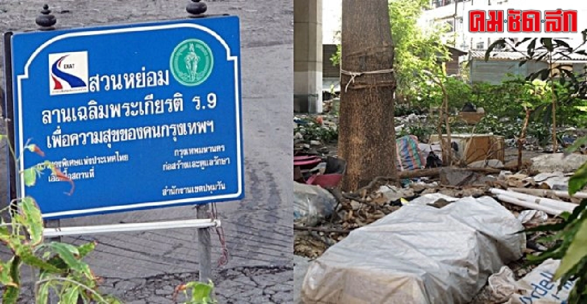ฟ้องด้วยภาพ : สวนหย่อมหรือกองขยะ ฟ้องด้วยภาพ : สวนหย่อมหรือกองขยะ