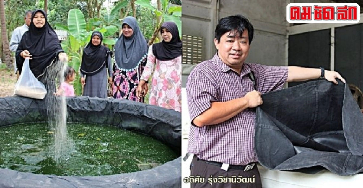 วิจัยผลิตภัณฑ์แปรรูปยางพารา ต่อยอดงานสู่ภาคอุตสาหกรรม