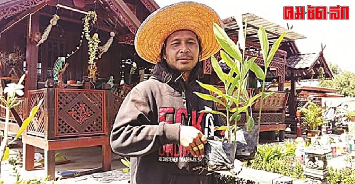 หนุ่มใหญ่ทิ้งอาชีพวิศวกรสู่ชาวไร่ปลูก 'ข่า' ทำเงินล้าน หนุ่มใหญ่ทิ้งอาชีพวิศวกรสู่ชาวไร่ปลูก 'ข่า' ทำเงินล้าน