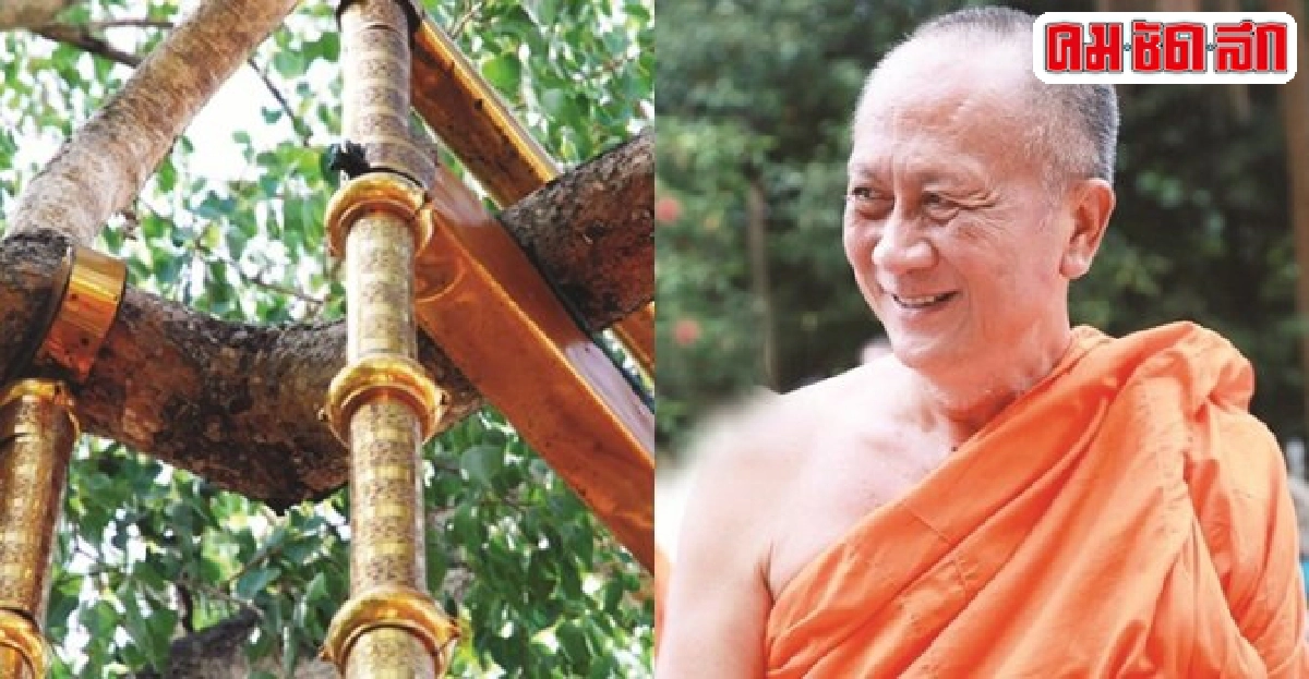 หลวงพ่อสมชายรับนิมนต์ปิดทองเสาเหล็กค้ำต้นโพธิ์ศรีลังกา หลวงพ่อสมชายรับนิมนต์ปิดทองเสาเหล็กค้ำต้นโพธิ์ศรีลังกา