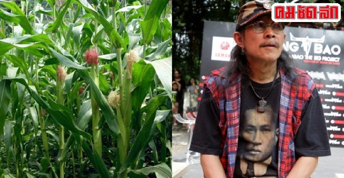 ซึ่งไม่อาจเรียกคืน  