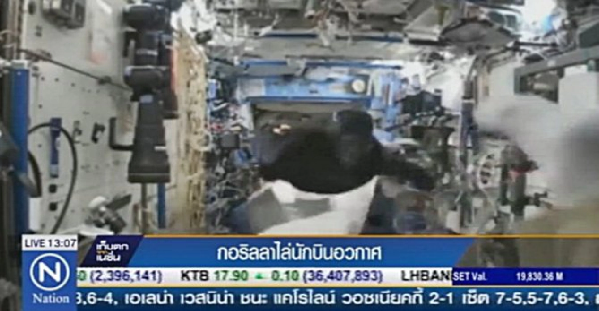 เผยคลิป'กอริลลา'ไล่ล่านักบินอวกาศ เผยคลิป'กอริลลา'ไล่ล่านักบินอวกาศ