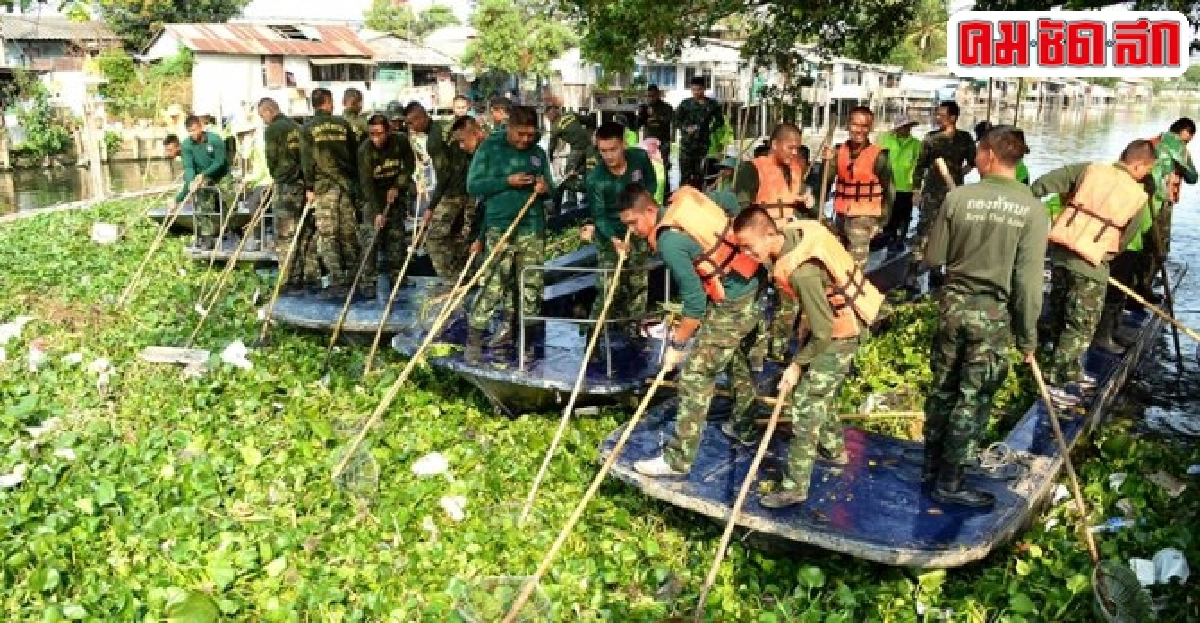 กทม.กำจัดผักตบชวาเปิดทางน้ำไหล กทม.กำจัดผักตบชวาเปิดทางน้ำไหล
