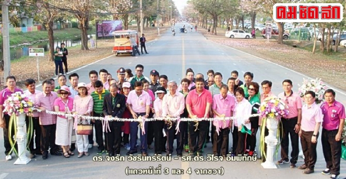 ชมพูพันธุ์ทิพย์บานสะพรั่ง ชมพูพันธุ์ทิพย์บานสะพรั่ง