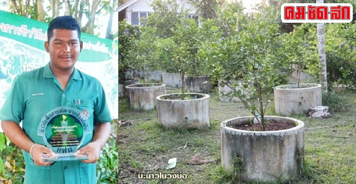 พลิกพื้นที่ 2 ไร่ทำสวนเกษตรพอเพียง สร้างรายได้ระหว่างเรียน พลิกพื้นที่ 2 ไร่ทำสวนเกษตรพอเพียง สร้างรายได้ระหว่างเรียน