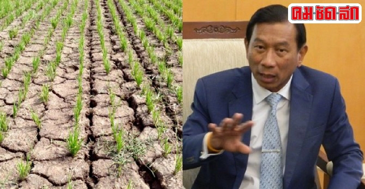ดิ้นสุดฤทธิ์หาแนวทางสู้ภัยแล้งถึงคราวทุกภาคส่วนต้องร่วมมือ ดิ้นสุดฤทธิ์หาแนวทางสู้ภัยแล้งถึงคราวทุกภาคส่วนต้องร่วมมือ