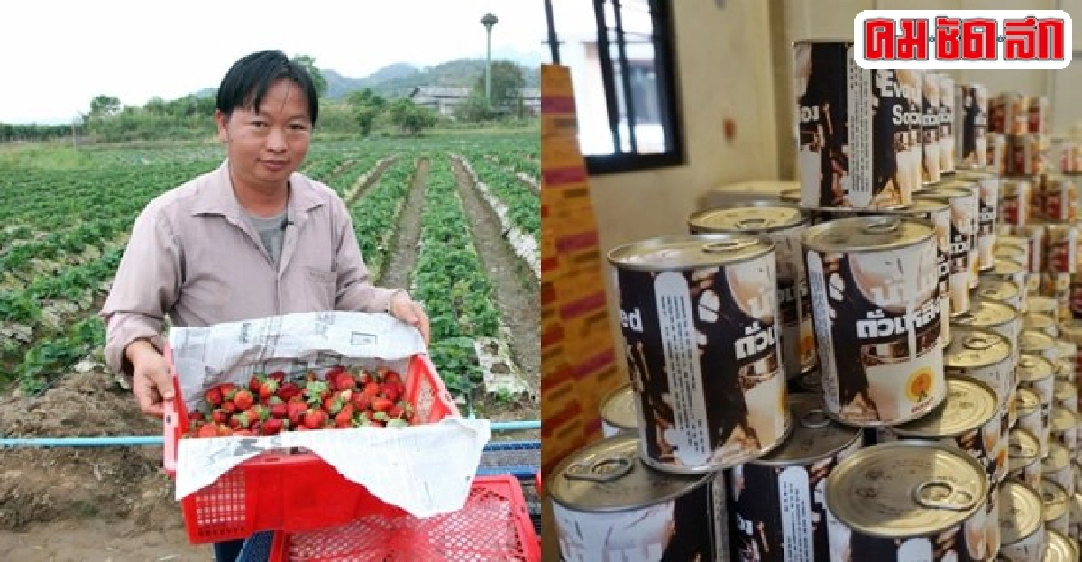40ปีโรงงานหลวงผลิตผลสู่ชาวเรา 40ปีโรงงานหลวงผลิตผลสู่ชาวเรา