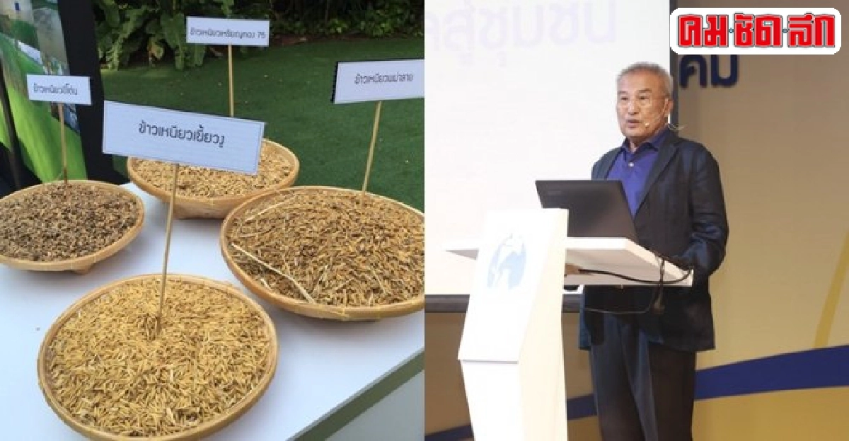 6ปีปิดทองหลังพระนำศาสตร์พระราชาพัฒนาประเทศ 