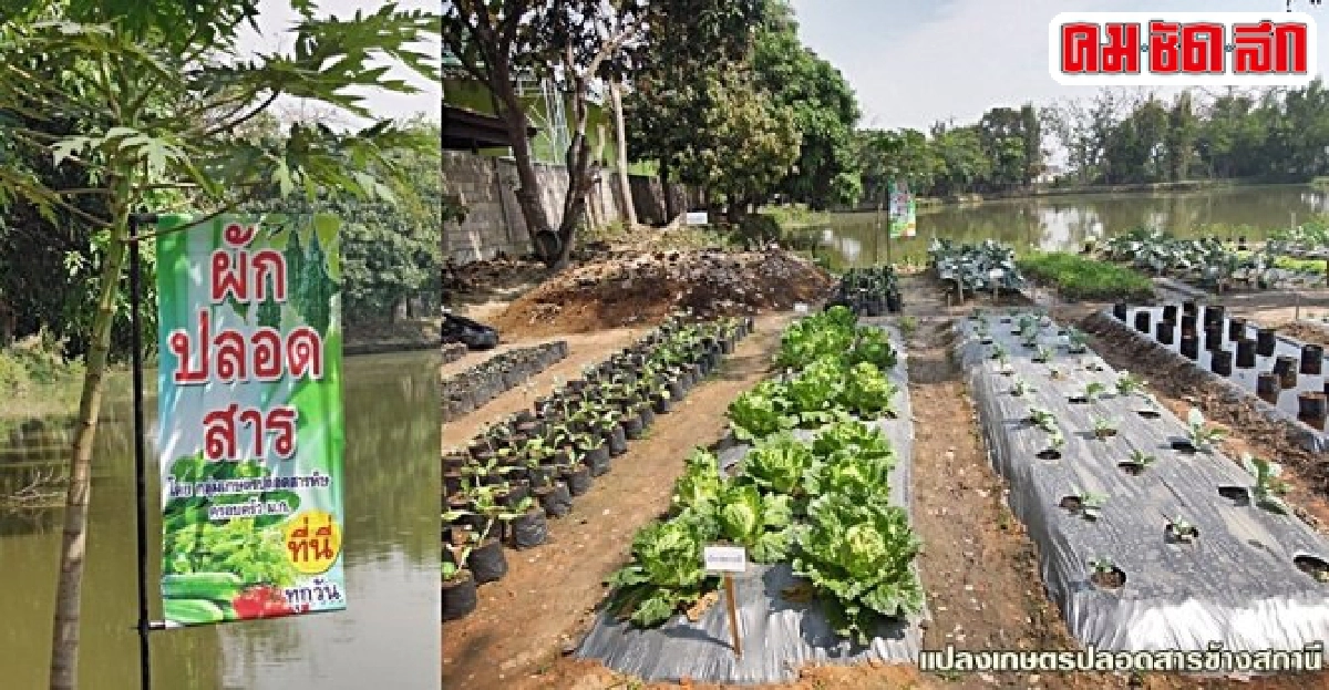 แอ่วเหนือสำรวจ 'ตลาดนัดเกษตร' สีเขียว แอ่วเหนือสำรวจ 'ตลาดนัดเกษตร' สีเขียว