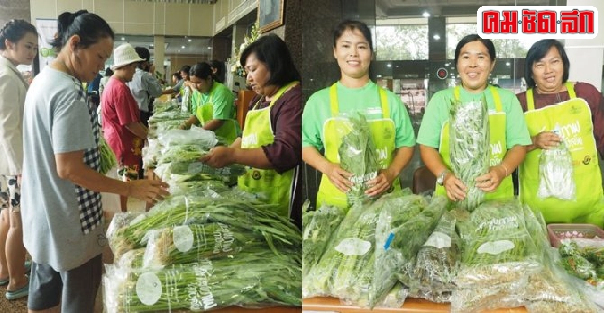 'ผักสุขภาพ..ภาษีเจริญ'สุดฮอตทุกอย่าง15บาท 'ผักสุขภาพ..ภาษีเจริญ'สุดฮอตทุกอย่าง15บาท