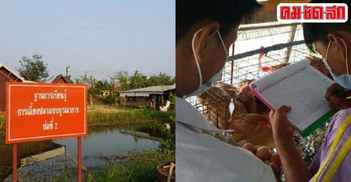 'ร.ร.คูเมือง'บ้านสานฝันดึงนอกระบบเรียนรู้สู่สัมมาชีพ  