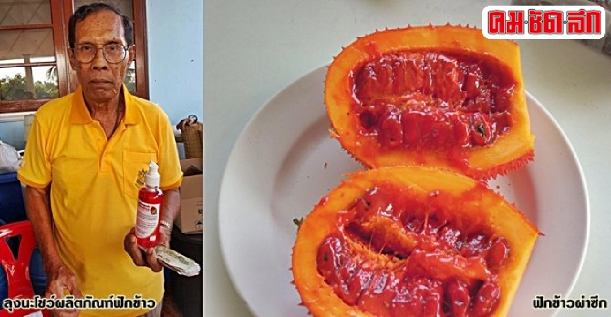 แปรรูปเพิ่มค่าฟักข้าว 'ลุงนะ' ผลิตภัณฑ์เอาใจคนรักสุขภาพ