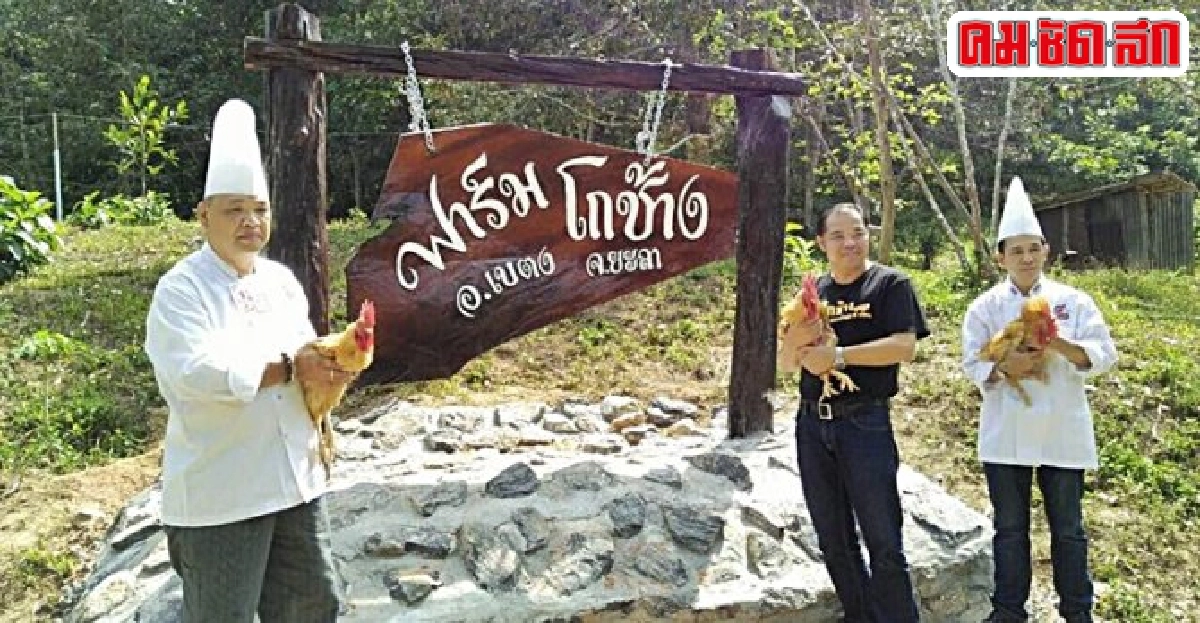 ยกระดับฟาร์ม 'ไก่เบตง' สู่เมนูเด็ด-ท่องเที่ยวครบวงจร