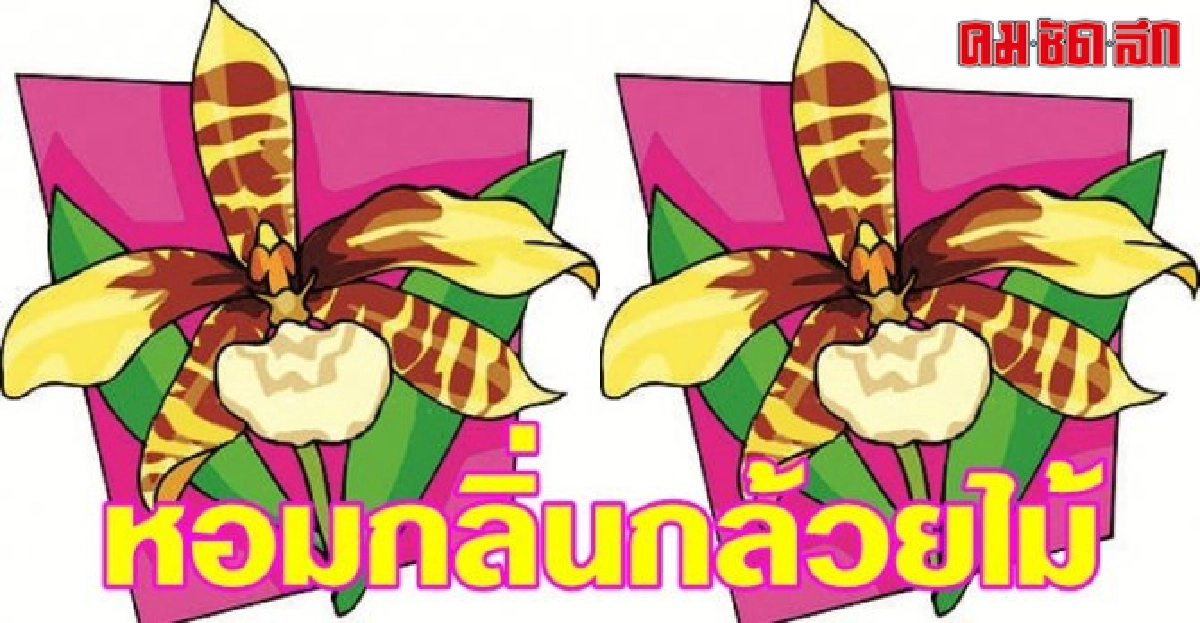 ฉันทำงานด้วยการบังคับใจตัวเอง ฉันทำงานด้วยการบังคับใจตัวเอง