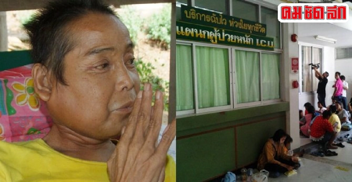 แดง จิตกรอาการดีขึ้นพูดคุยตอบโต้ได้ แดง จิตกรอาการดีขึ้นพูดคุยตอบโต้ได้