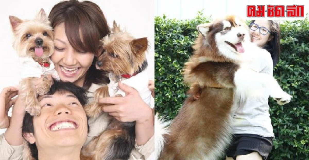 น้องหมาเคียงข้างเพื่อนมนุษย์ น้องหมาเคียงข้างเพื่อนมนุษย์