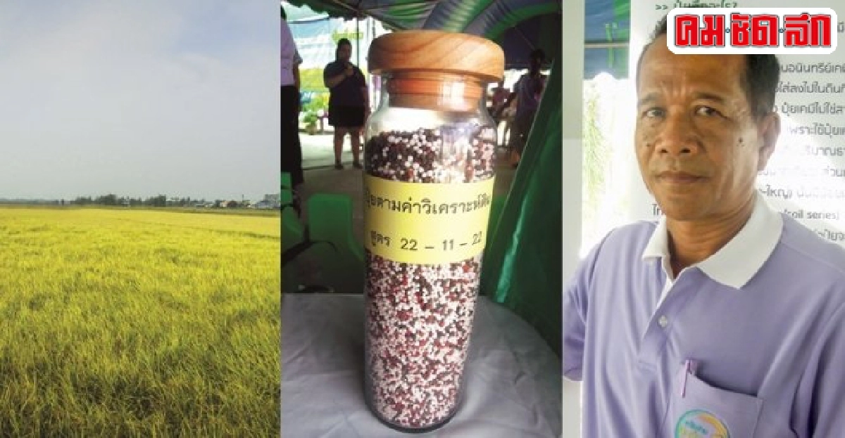 ผู้ใหญ่ร่ม วรรณประเสริฐจุดประกายชาวนาตามหา'ปุ๋ยสั่งตัด' ผู้ใหญ่ร่ม วรรณประเสริฐจุดประกายชาวนาตามหา'ปุ๋ยสั่งตัด'