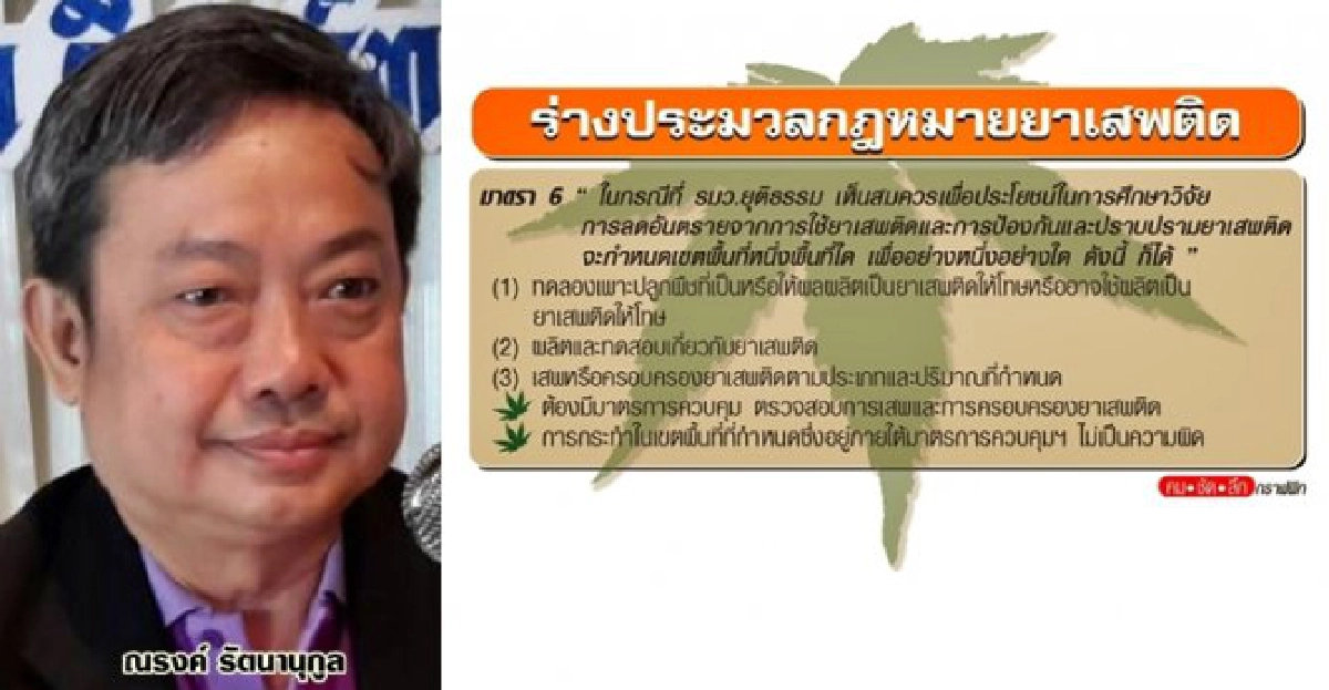 ป.ป.ส.ค้านกระแส 'กัญชา-กระท่อม' เสพเสรี ป.ป.ส.ค้านกระแส 'กัญชา-กระท่อม' เสพเสรี