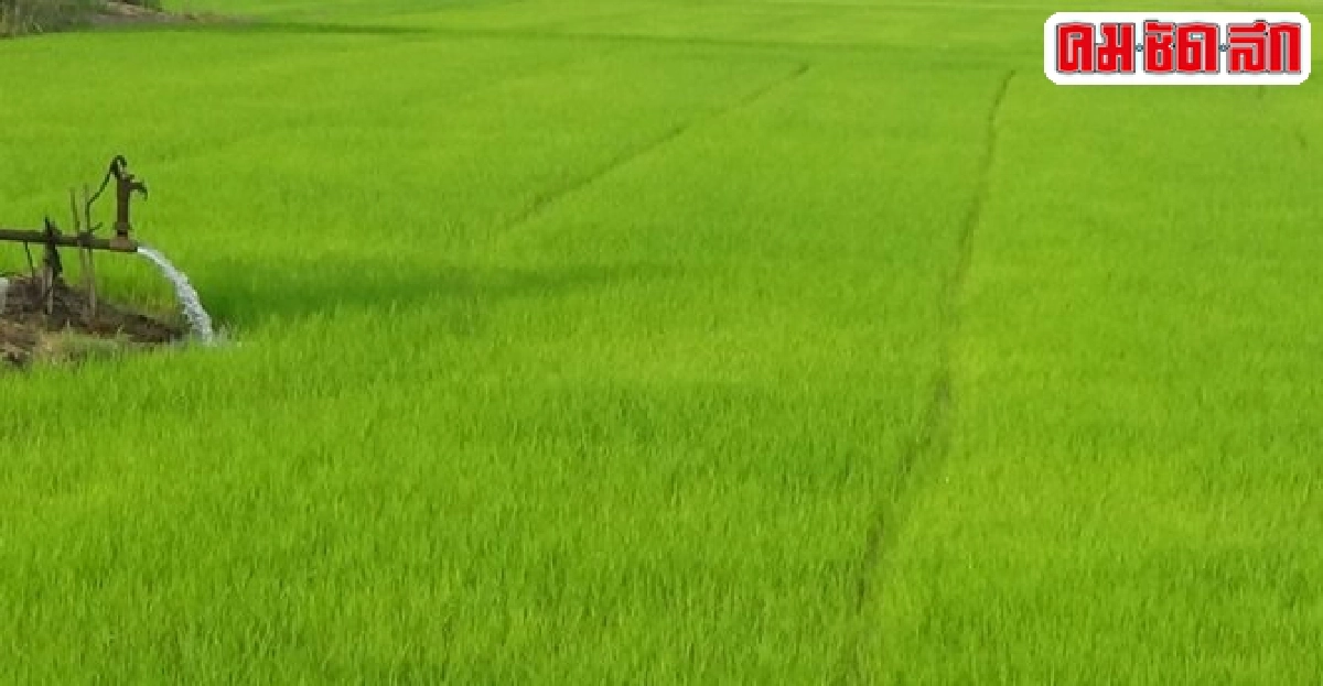 ทำอย่างไรให้เขารักประเทศไทย ทำอย่างไรให้เขารักประเทศไทย