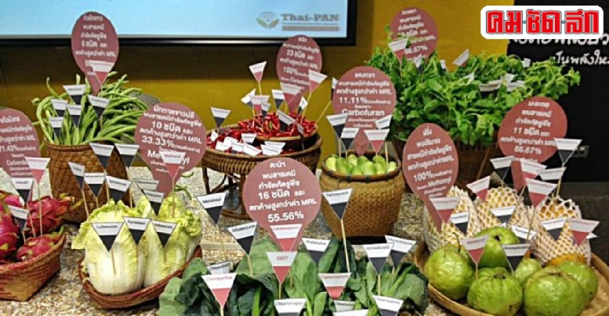 ช็อก!สารเคมีตกค้างผักผลไม้ตราQกว่า50%